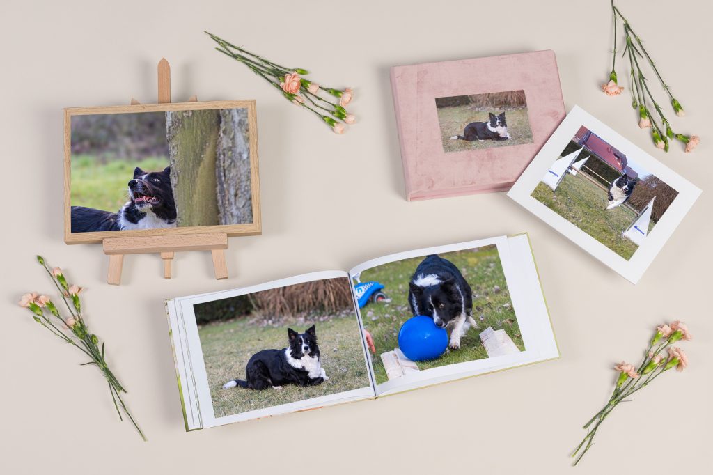 mockup 5 bilder kopie