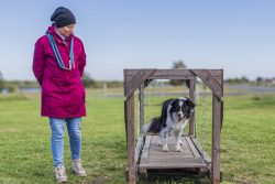 agility greetsiel@5