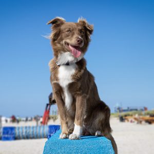 Ylvie beim shooting in Norddeich
