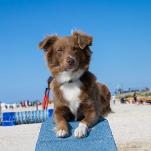 Ylvie beim shooting in Norddeich